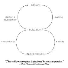 Montessori Notes On Human Nature And Nurture