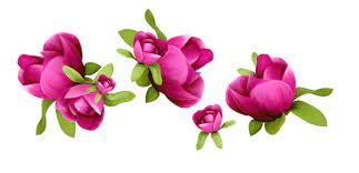 Spring Flowers Decoration Png Clipart Pendidikan