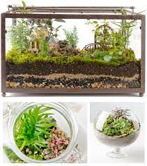 Houseplants How To Make Terrariums Mini Garden Garden Terrarium