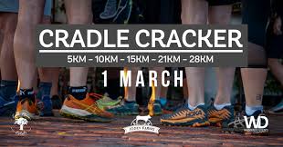 Brooks Cradle Cracker