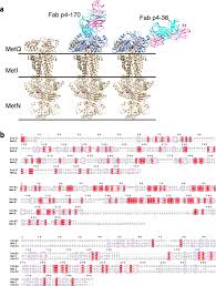 Maybe you would like to learn more about one of these? Human Antibodies Targeting A Mycobacterium Transporter Protein Mediate Protection Against Tuberculosis Nature Communications