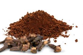 Aprenda como repelir insetos com cravo e café