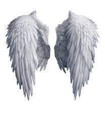 Wallpaper Free Nbsp Fi Yoyowall Com Wallpapers 201 Hellip I Transformed In Png Wings Png Angel Wings Png Angel Wings Drawing