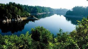 This circular hiking route of over 15 km long called vabindaweg started in friedersbach and went around stausee ottenstein with beautiful views over the reservoir, fields and forest. Ottensteiner Stausee Niederosterreich Kamptal Stauseen Oberste Staustufe Im Kamptal