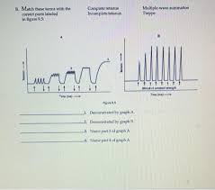 Lab 6 Quiz Flashcards | Quizlet