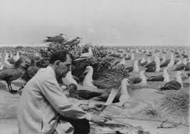 Image result for India Jasper Gray 1929 Dodge