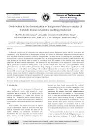 Image result for Dissotis ruandensis