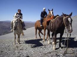 Flor por ley provincial n.º 2465, del 24 de agosto de 2004 se declaró a la mutisia (mutisia decurrens) como flor de la provincia del neuquén. Volcan Copahue Picture Of Volcano Copahue Neuquen Tripadvisor