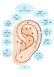 耳つぼで整える！胃腸の不調や自律神経をスッキリ改善する方法 | Spell on nails