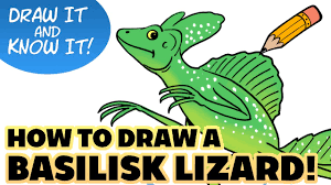 Draw It Know It (Art Lesson Edition) | Basilisk Lizard | Reasons For Hope -  Youtube
