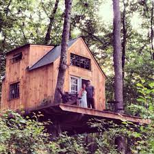 Amazing Tiny Houses Cool Tree Houses Tree House Building A Cabin
