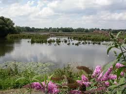 Discover a selection of 13 holiday rentals in molsbroek nature reserve, lokeren that are perfect for your trip. Natuurreservaat Molsbroek Knooppunter