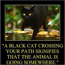 A Black Cat Crossing Your Path Quotes Friday The 13th Friday The 13th Quotes Happy Friday The 13th Cats Black Cat Crazy Cats