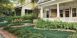 Check out these front garden ideas that'll work even in the smallest of spaces. Easy No Mow Lawns Southern Living