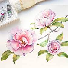 My Watercolor Camellia Flowers Are Finished The Cool Thing About This Commission The Flowers Will Be Printed O Flower Drawing Floral Watercolor Flower Art