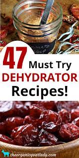 47 Food Dehydrator Recipes The Organic Goat Lady Dehydrator Recipes Recipes Food