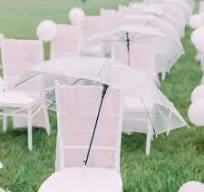 Small Transparent Umbrellas - Durable & Fashionable