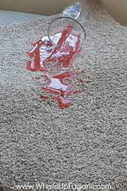 How to get kool aid out of rug. The Surprisingly Easy Chemical Free Way To Remove Carpet Stains