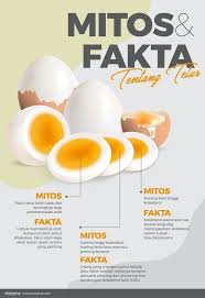 Gambar kartun anak terjatuh dari sepeda top gambar. Bendera