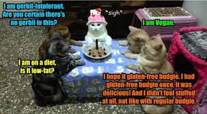 To borrow an orange cat wanted: Cat Dinner Parties Are Complicated Lolcats Lol Cat Memes Funny Cats Funny Cat Pictures With Words On Them Funny Pictures Lol Cat Memes Lol Cats