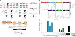 The Neutral Rate Of Whole Genome Duplication Varies Among Yeast Species And Their Hybrids Nature Communications