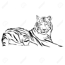 An outline of a cat walking away and leaving paw. Outline Lying Tiger Vector Image Can Be Use For And Tattoo Royalty Free Cliparts Vectors And Stock Illustration Image 55002448