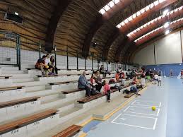 Fete Du Club 2017 Stade Olympique De Rosny Sous Bois Handball
