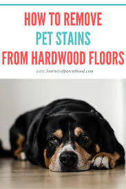 Removing Pet Stains From Hardwood Floors Remove Pet Stains Pet Stains Hardwood Floors