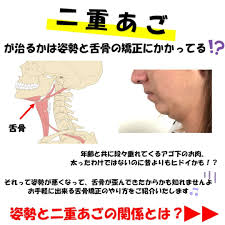 二重あごが治すかは姿勢と舌骨の矯正にかかってる とオススメの矯正法 二重あご 解消 顔のエクササイズ 二重あご