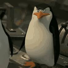Kamil kowalski, attorney at law. Penguin Of Madagascar Status Gif Penguinofmadagascar Status Report Discover Share Gifs