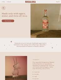 Mezcal Rosaluna In 2020 Best Landing Page Design Best Landing Pages Landing Page Design