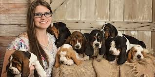 This breeder is a member of. Miniature Basset Hound Puppies For Sale