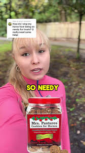 What Should I Do to Get My Horse to Stop Feeding Off Other Horses Actions