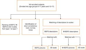 Assessment Of Commonly Used Pediatric Stool Scales A Pilot