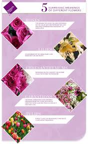 The names on this list mean flower, flowery, flowering, floral, as well as. 5 Surprising Meanings Of Different Flowers Breen S Florist Houston Breens Florist