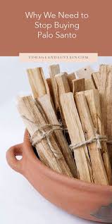 Why We Need To Stop Using Palo Santo Forage And Sustain Palo Santo Palo Santo Tree Palo Santo Wood