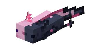That's because these are genetically modified and they don't exist naturally and only created by scientists, and the minecraft team didn't like to add it, but why is there a blue axolotl? Texture Pack Coming Soon