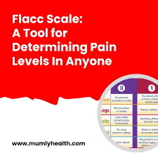 Image result for FLACC Scale