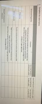 Maybe you would like to learn more about one of these? 1 Complete The Table Below Structure Organelle Chegg Com