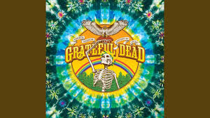 Image result for Harvest Gold Dark 1972 Tappan