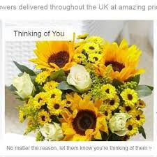 Check spelling or type a new query. Bloom Wild Home Facebook