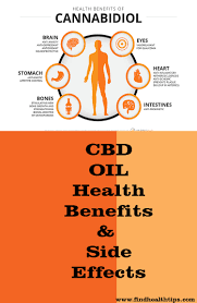 Organic cbd oil is legal in all fifty states and at least 35 countries worldwide. What Are The Advantages And Disadvantage Of Cbd Vape Oil Find Health Tips