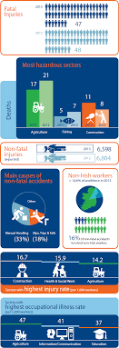 Ireland S Health Safety Statistics From 2013 Recently Published By The Hsa Infographic Health Health Infographics Design Health And Safety