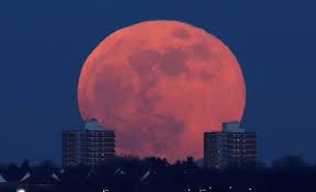 #luna rose #ariana #transgender #trans woman #transisbeautiful. Eveniment Astronomic Rar Super Luna Roz Poate Fi ObservatÄƒ In AceastÄƒ Noapte Evenimentul Zilei