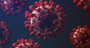 توفي رئيس نادي الزمالك المصري المستشار أحمد البكري، متأثراً بإصابته بفيروس كورونا. Memgnmvvt6rkhm