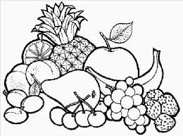 Mewarnai gambar pohon buah buahan warna gambar pohon buah namun paling sering dikerjakan oleh anak anak. 20 Sketsa Gambar Buah Buahan Yang Mudah Diwarnai Untuk Anak Paud Tk Sd Kanalmu
