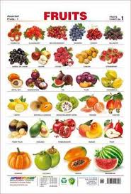 Amazon Com Spectrum Pre School Kids Learning Laminated Educational Fruits Name Wall Chart Office Products Fruit Names Fruit Name Of Vegetables