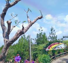 Kabupaten km 4,, sleman, yogyakarta house. Tiket Masuk Rainbow Garden 2021 Fasilitas Lokasi Wisata