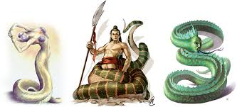 Debates about naga food overlook the perspective that situates it in relation to other aspects of their cultural and political life. What Is A Naga