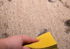 Share your pet hair removal tricks in the comments. 6 Best Pet Hair Removers For A Fur Free Home 23 Tested
